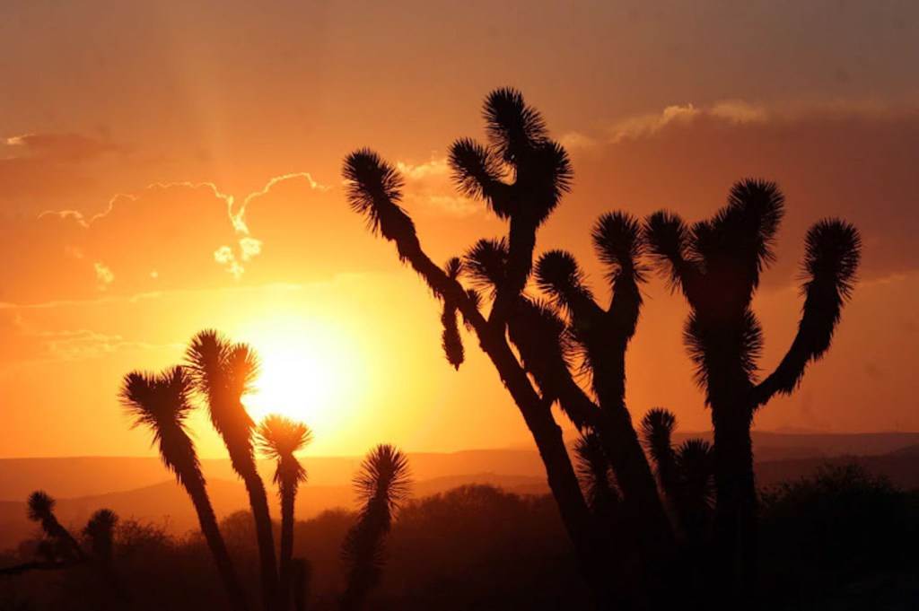 SOBRE LA CONTROVERSIA DEL HOTEL CALIFORNIA….