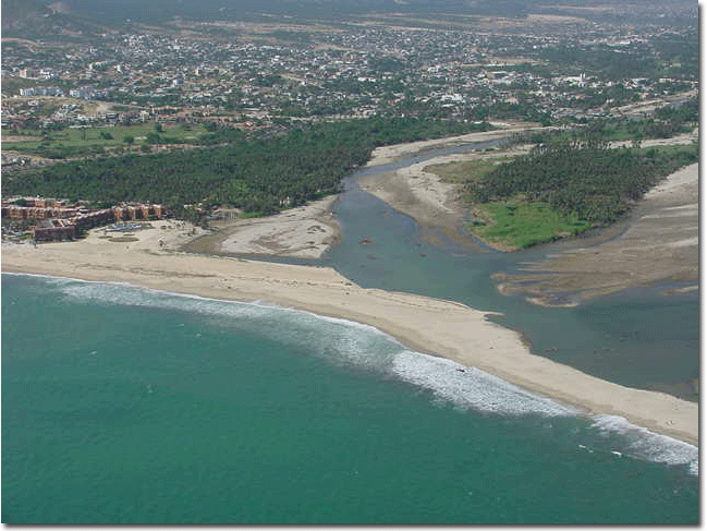 Estuardo escarlata