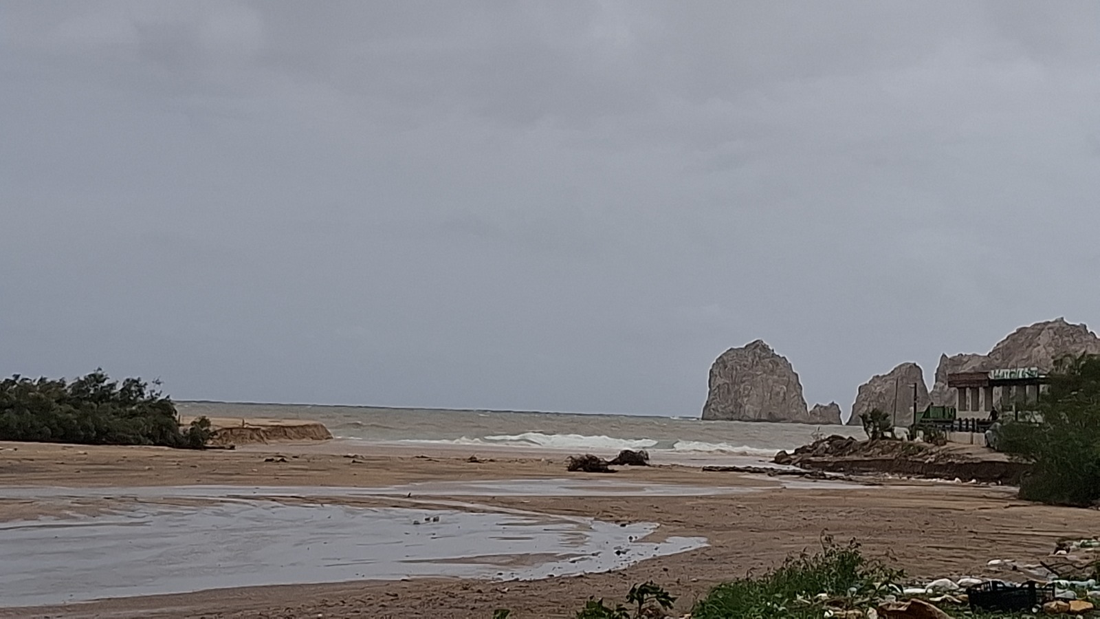 ©Hilda_Martínez_Guerra