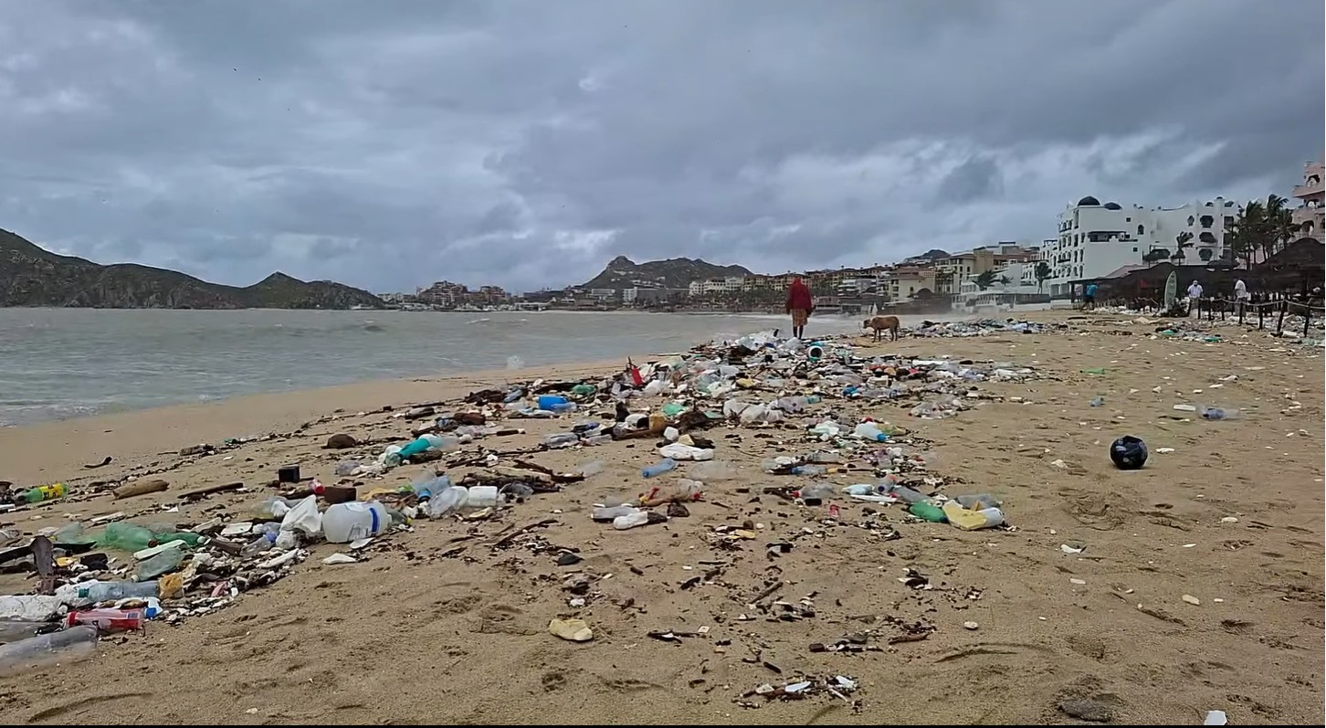 ©Hilda_Martínez_Guerra