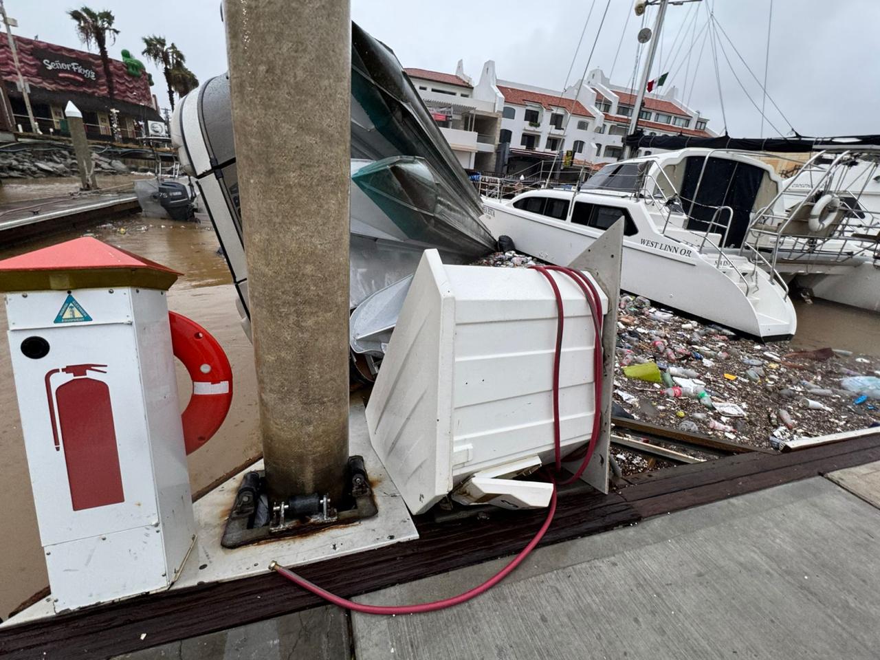 ©Hilda_Martínez_Guerra