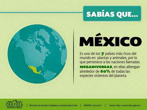 Ecología política, económica y/o humana&nbsp;I/IV